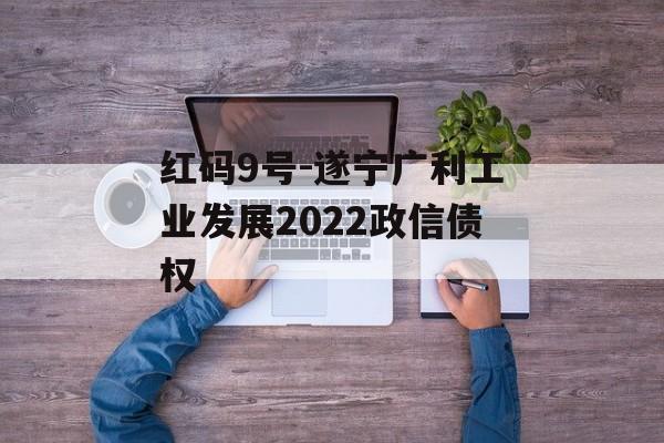 红码9号-遂宁广利工业发展2022政信债权