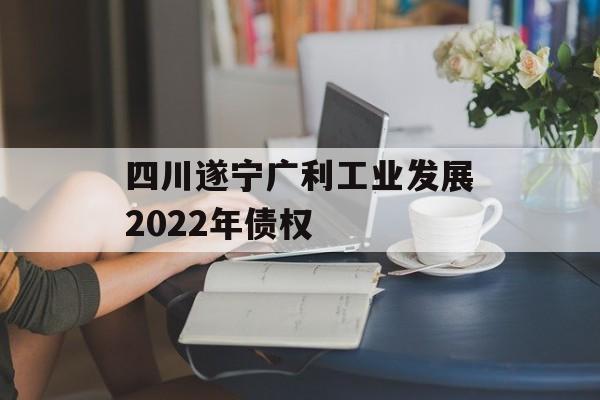 四川遂宁广利工业发展2022年债权