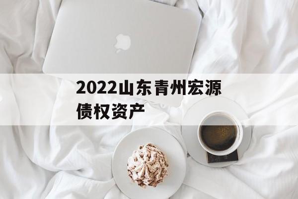 2022山东青州宏源债权资产