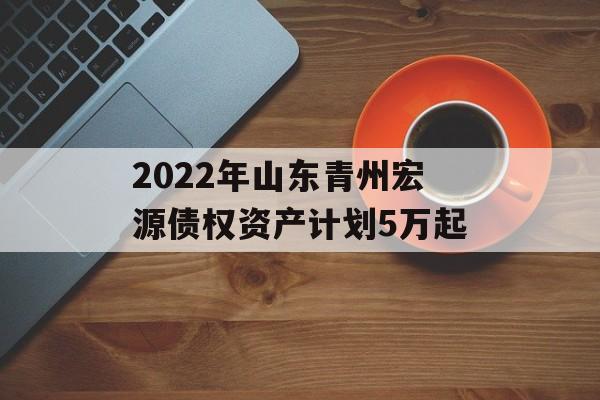 2022年山东青州宏源债权资产计划5万起