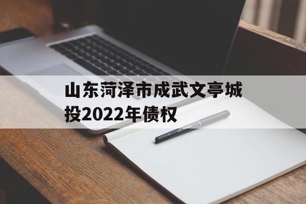 山东菏泽市成武文亭城投2022年债权