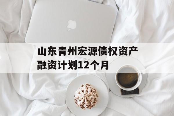 山东青州宏源债权资产融资计划12个月