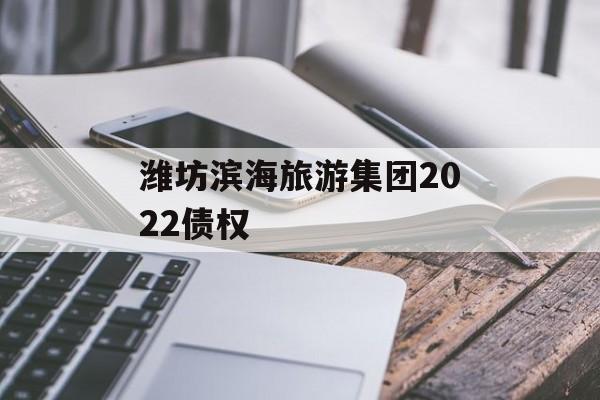 潍坊滨海旅游集团2022债权