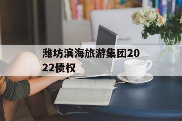 潍坊滨海旅游集团2022债权