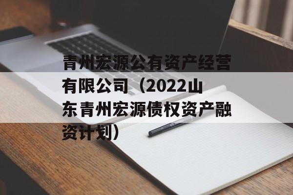 青州宏源公有资产经营有限公司（2022山东青州宏源债权资产融资计划）