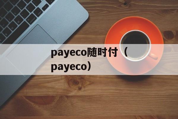 payeco随时付（payeco）